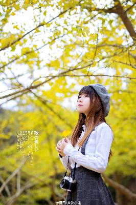 书卷一梦电视剧免费观看完整版