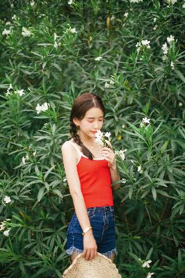 我的人间烟火电视剧全集免费观看